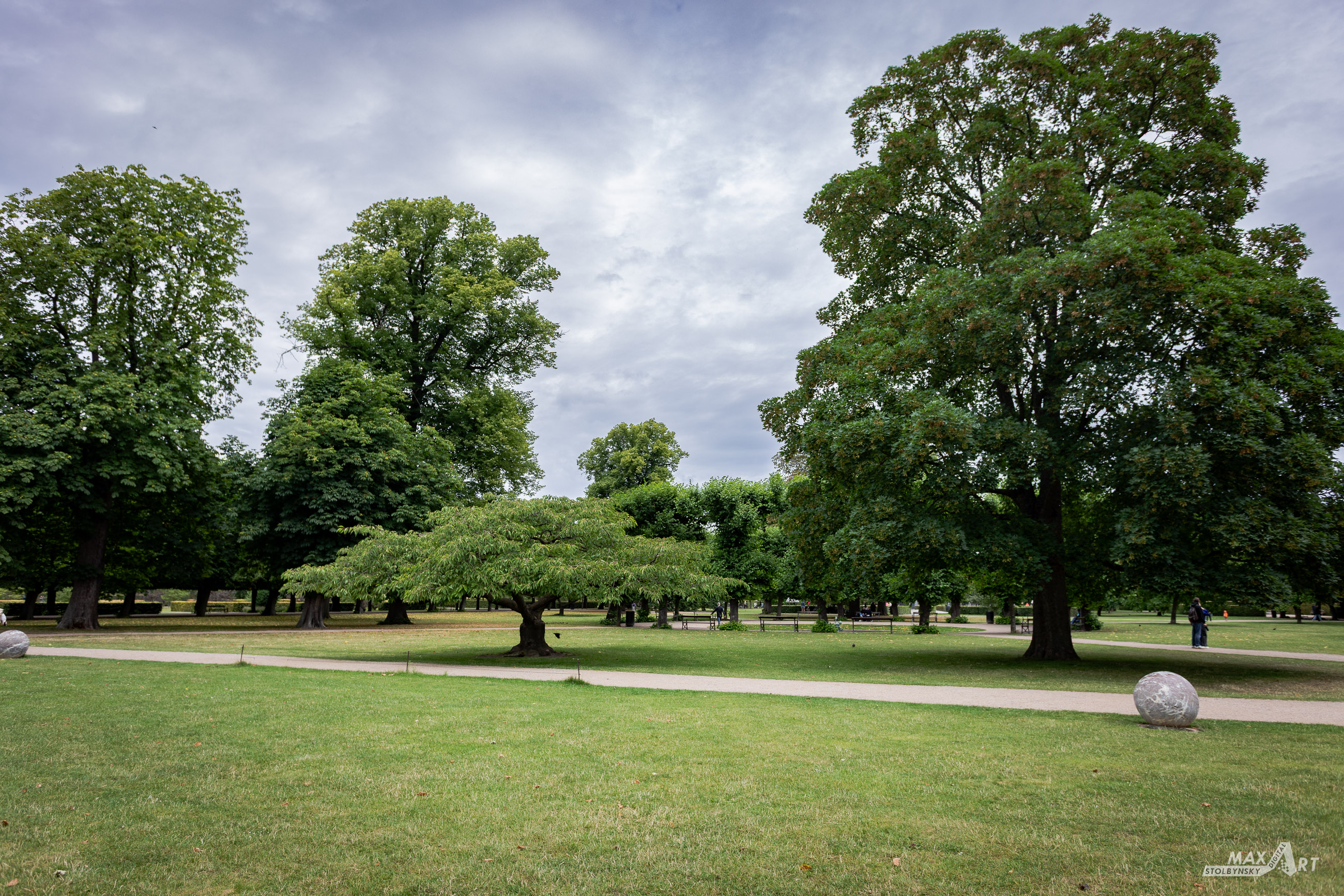 _MG_8338.jpg