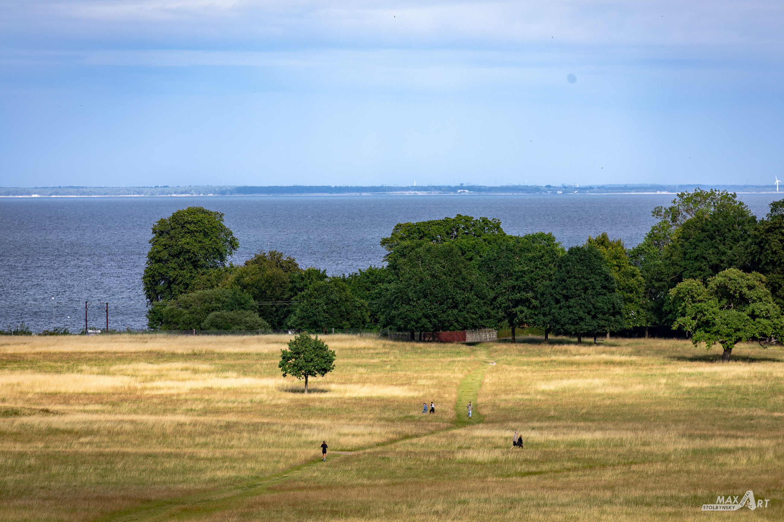 _MG_8529.jpg